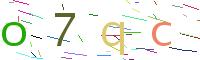 Verify Code